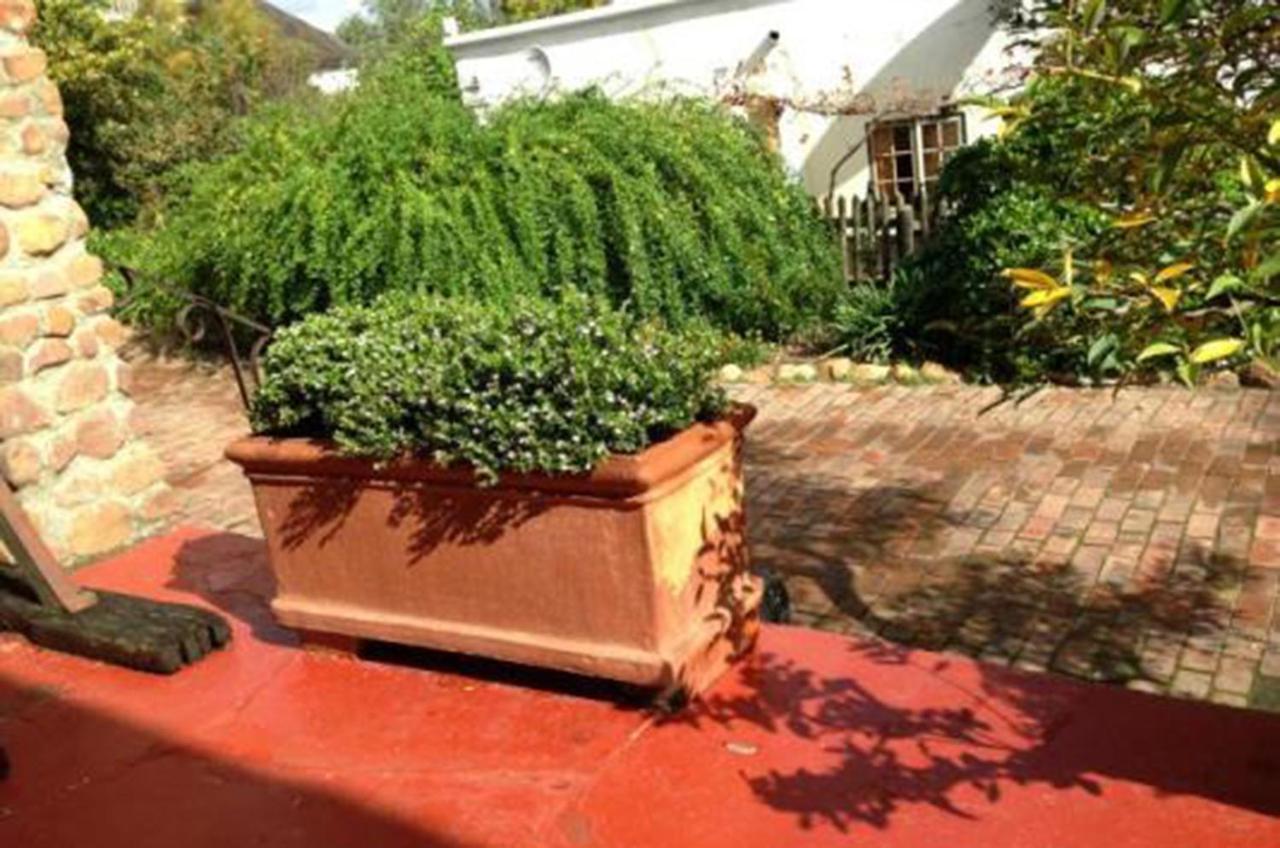 Готель Oude Wellington Estate Екстер'єр фото